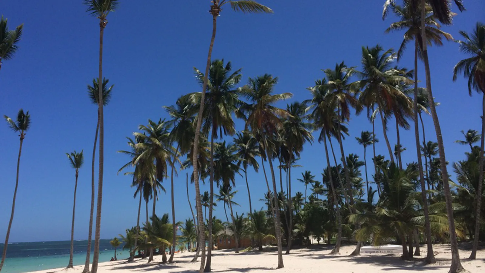 Canadian Travel to the Dominican Republic Is Surging, With More Flights to Puerto Plata, Samaná and Santo Domingo