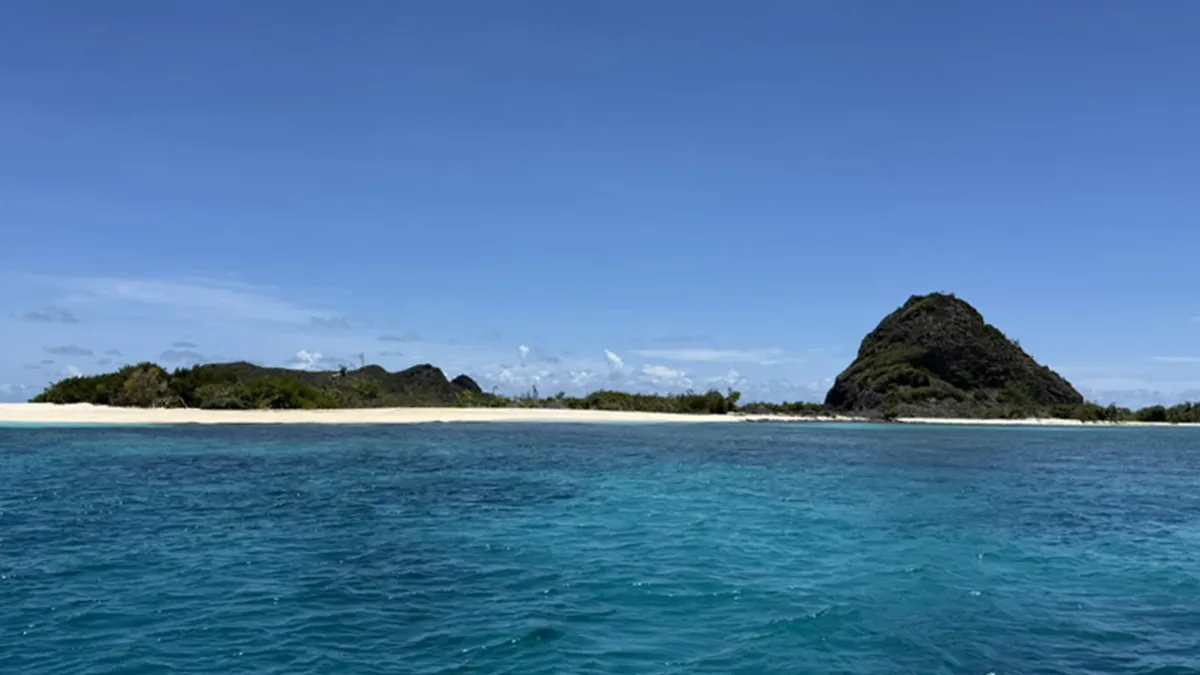 diving in grenada