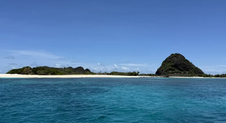 diving in grenada