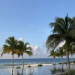 jamaica comeback