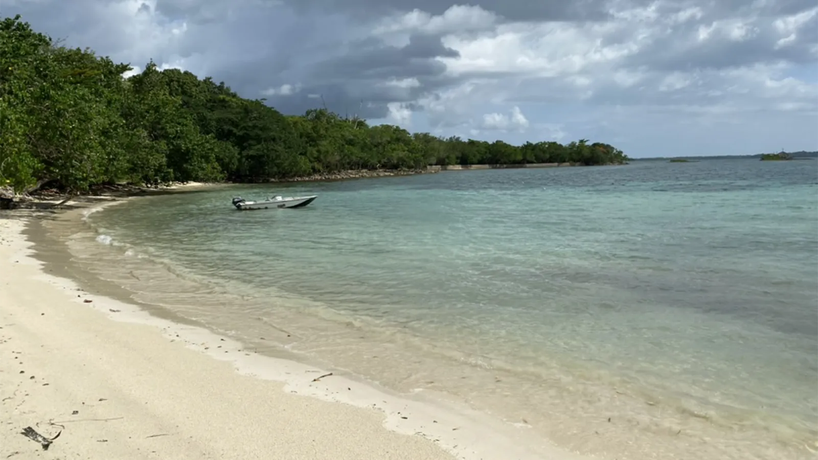 Jamaica Is Looking to Add More Flights as Demand for the Island Keeps Growing