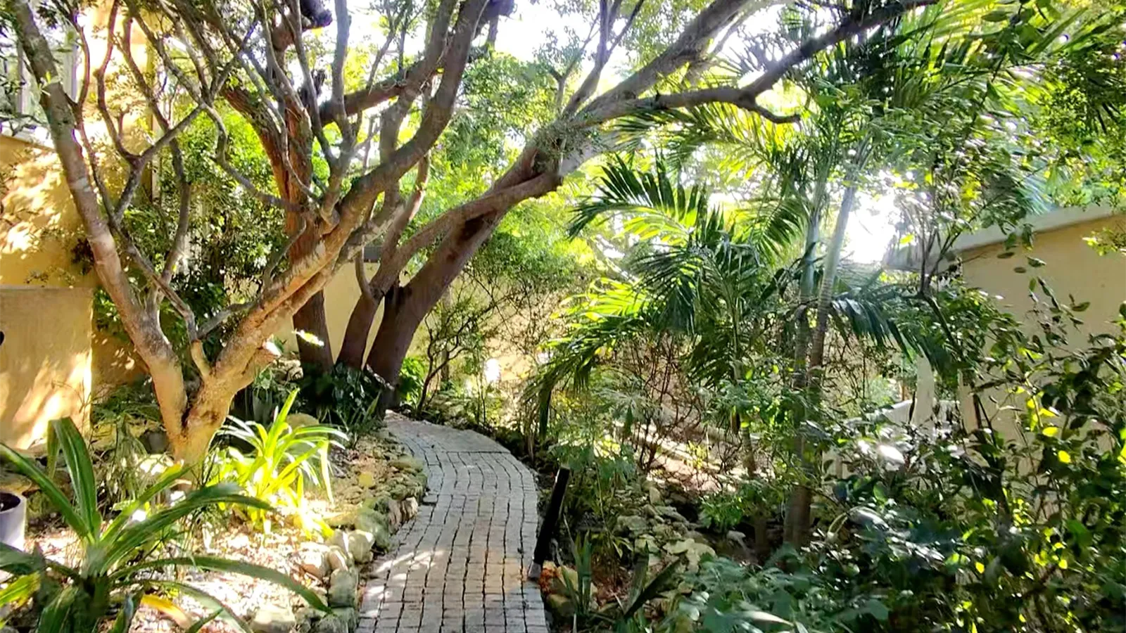 The “Greenest” Resort in Turks and Caicos Has Private Cottages, Botanical Gardens and a Different Kind of Provo Stay