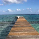 little cayman