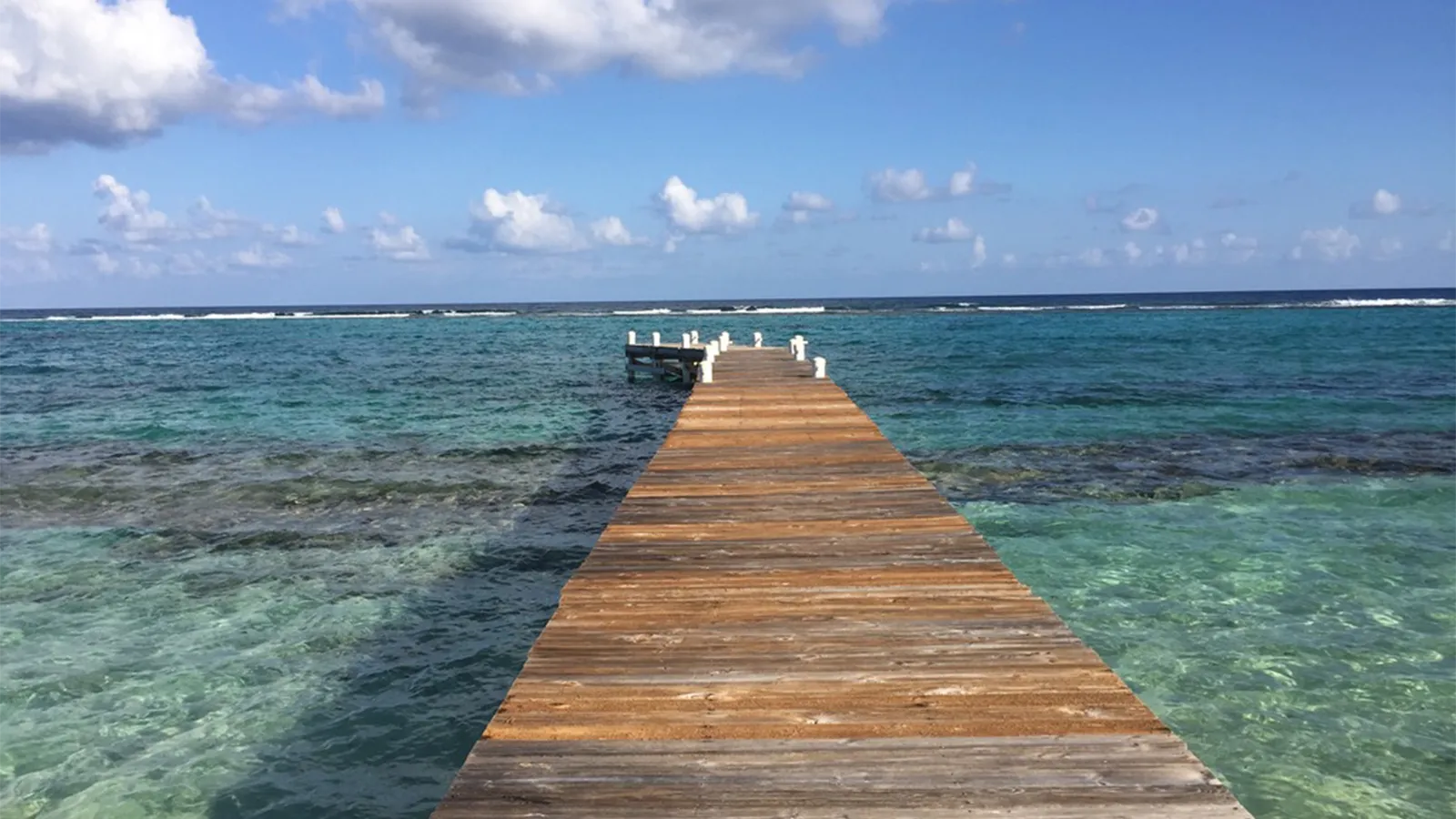 Little Cayman Is an Island for Caribbean Lovers, With Empty Beaches, Rum, Roosters and a Legendary Reef