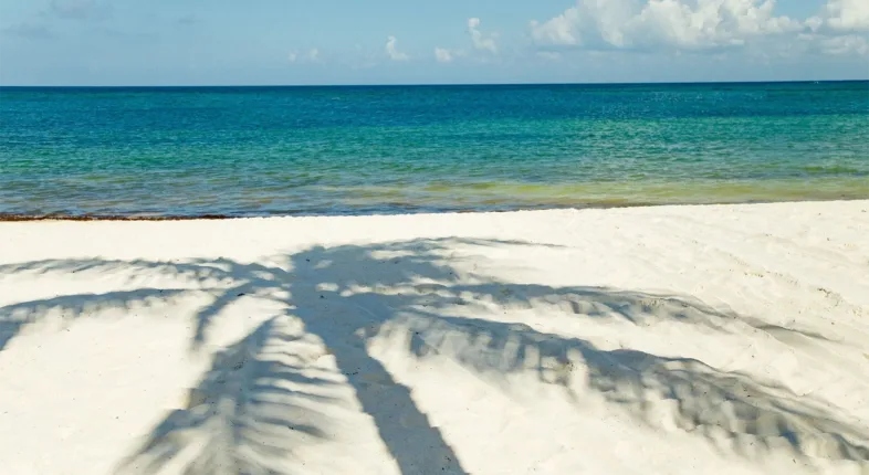 new all-inclusive secrets macao beach