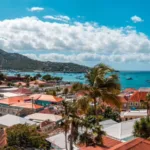 st thomas pink palm
