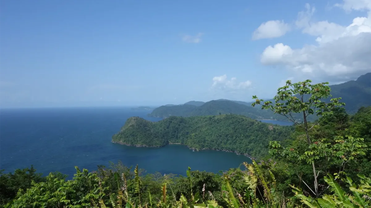 trinidad hills