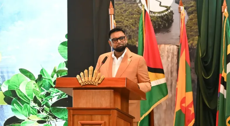 Irfaan Ali