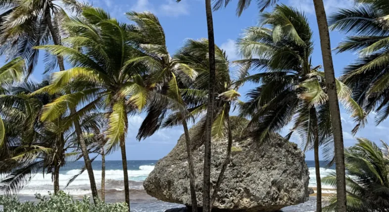 barbados boulder