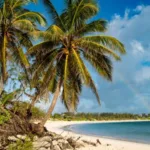 campau eleuthera