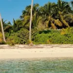 eleuthera ten beach