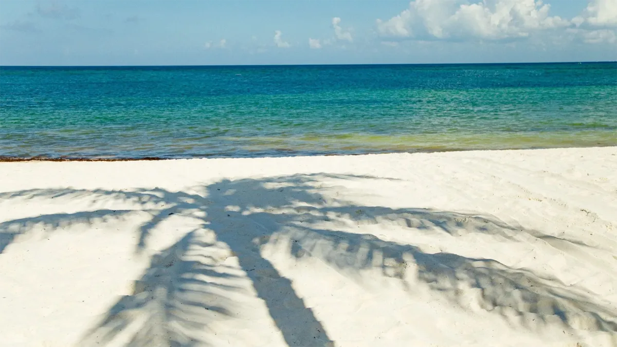 adults-only punta cana