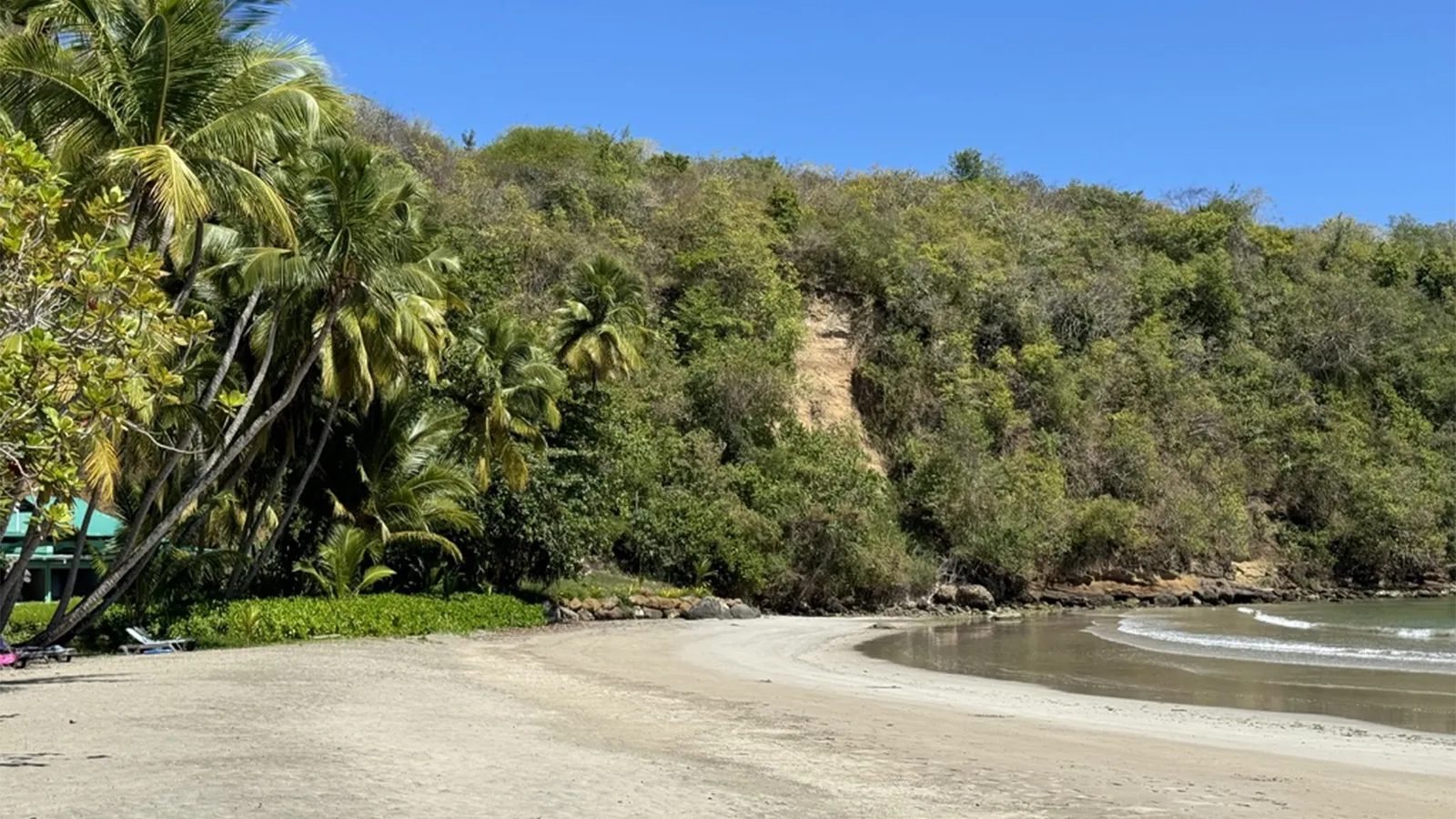 This Beautiful Grenada Beach Has Tall Palms, Golden Sand, and a Colorful Little Hotel