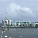 st maarten oyster