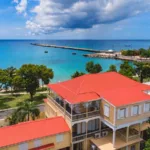 st croix caribbean vacation foster dog